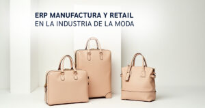 ERP EN RETAIL