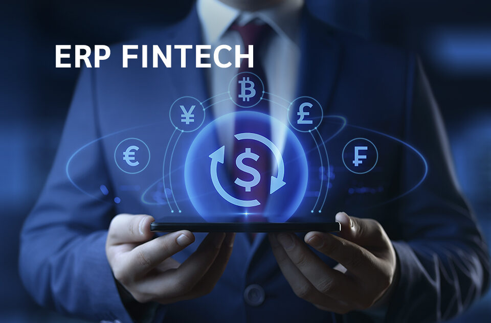 Blog ERP Fintech IMR Software