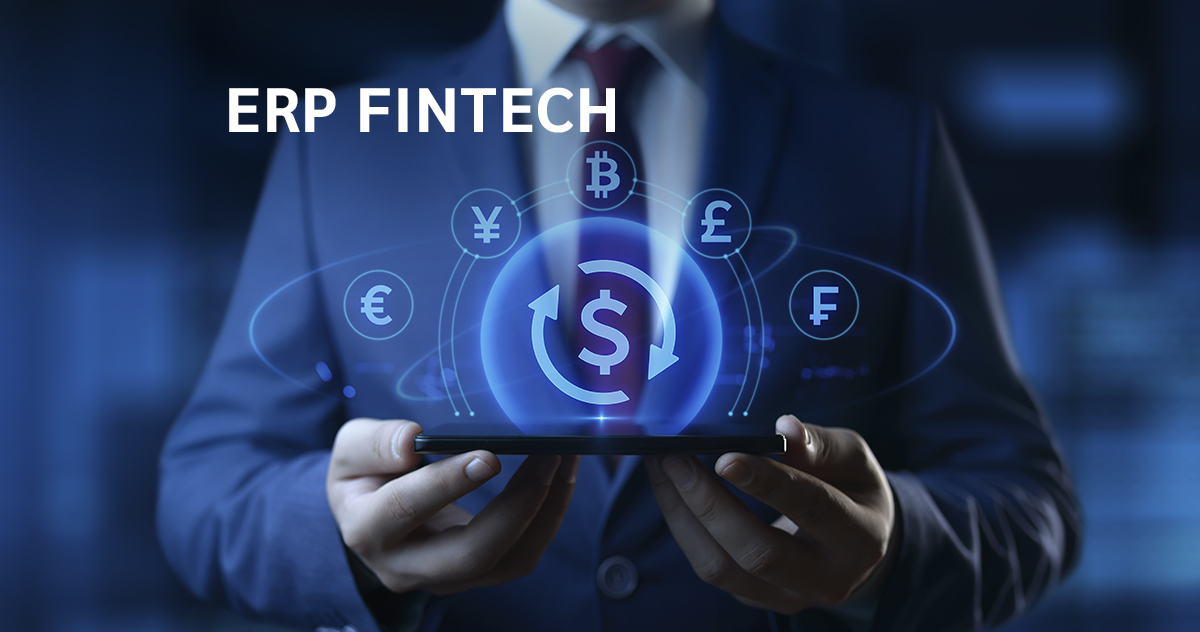 Blog ERP Fintech IMR Software