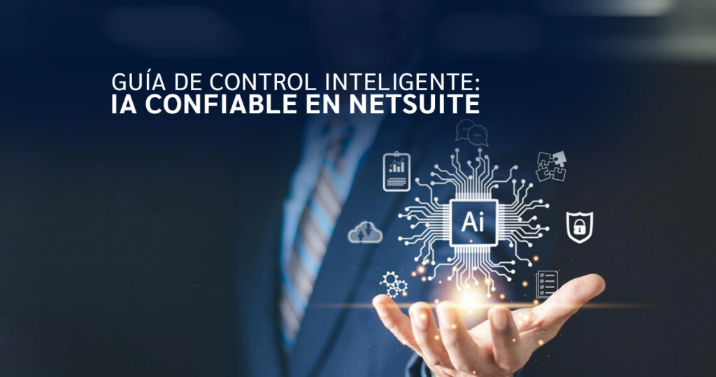 Guia IA NetSuite IMR Software